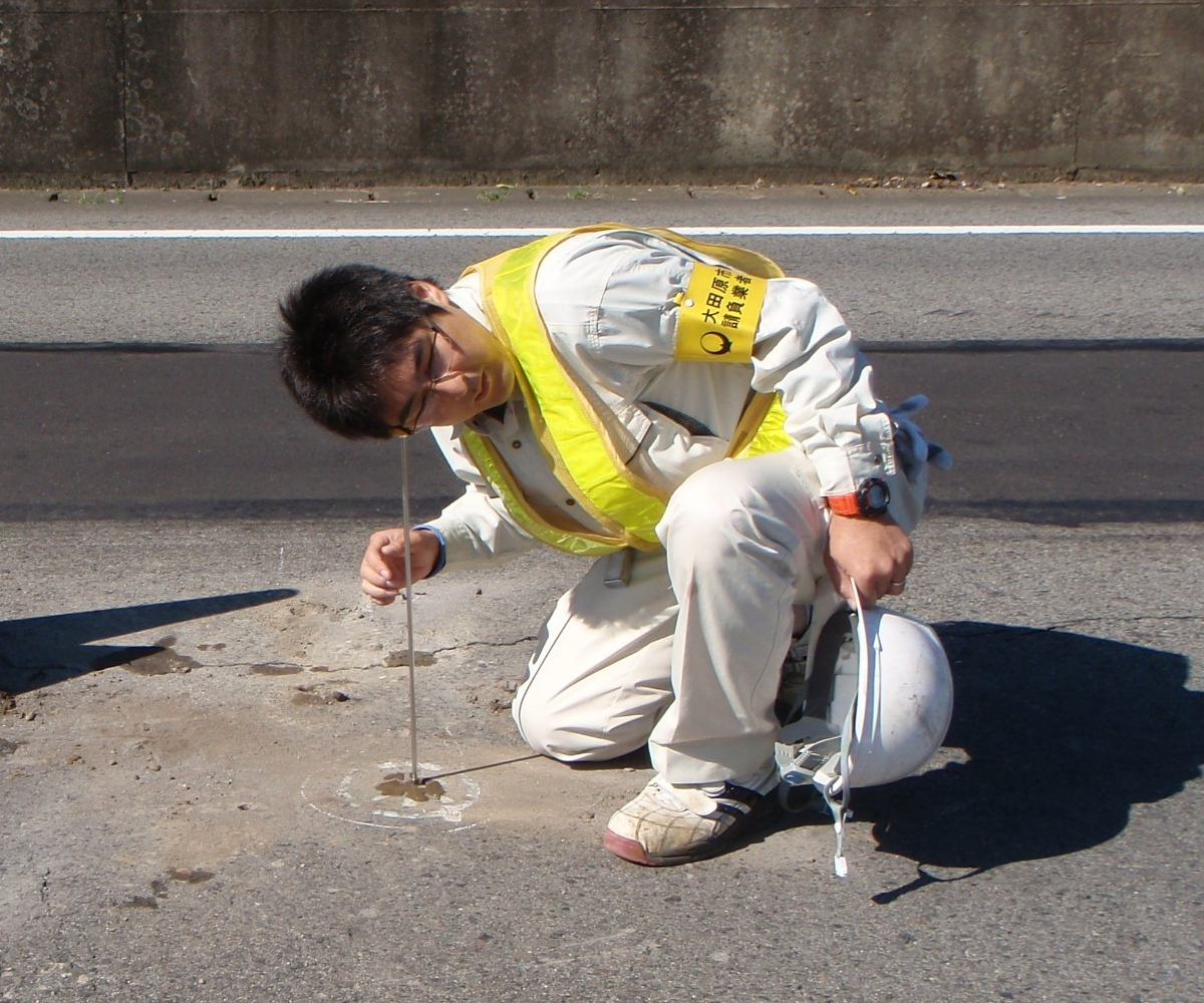 写真：確認調査