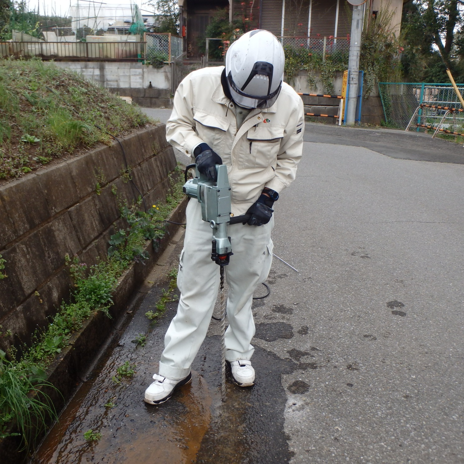 写真：確認調査